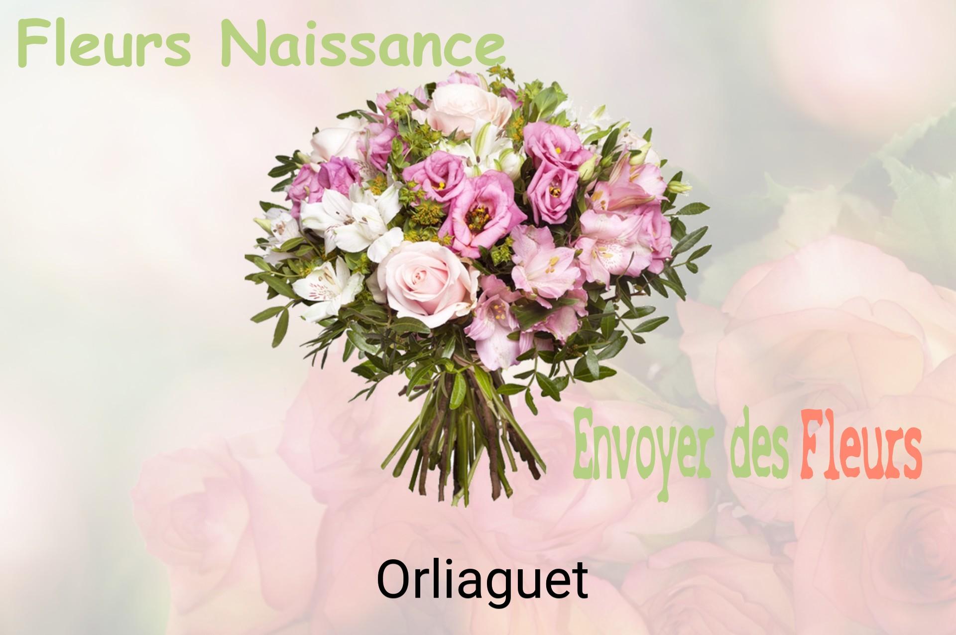 Bouquet de fleurs de naissance livré à Orliaguet