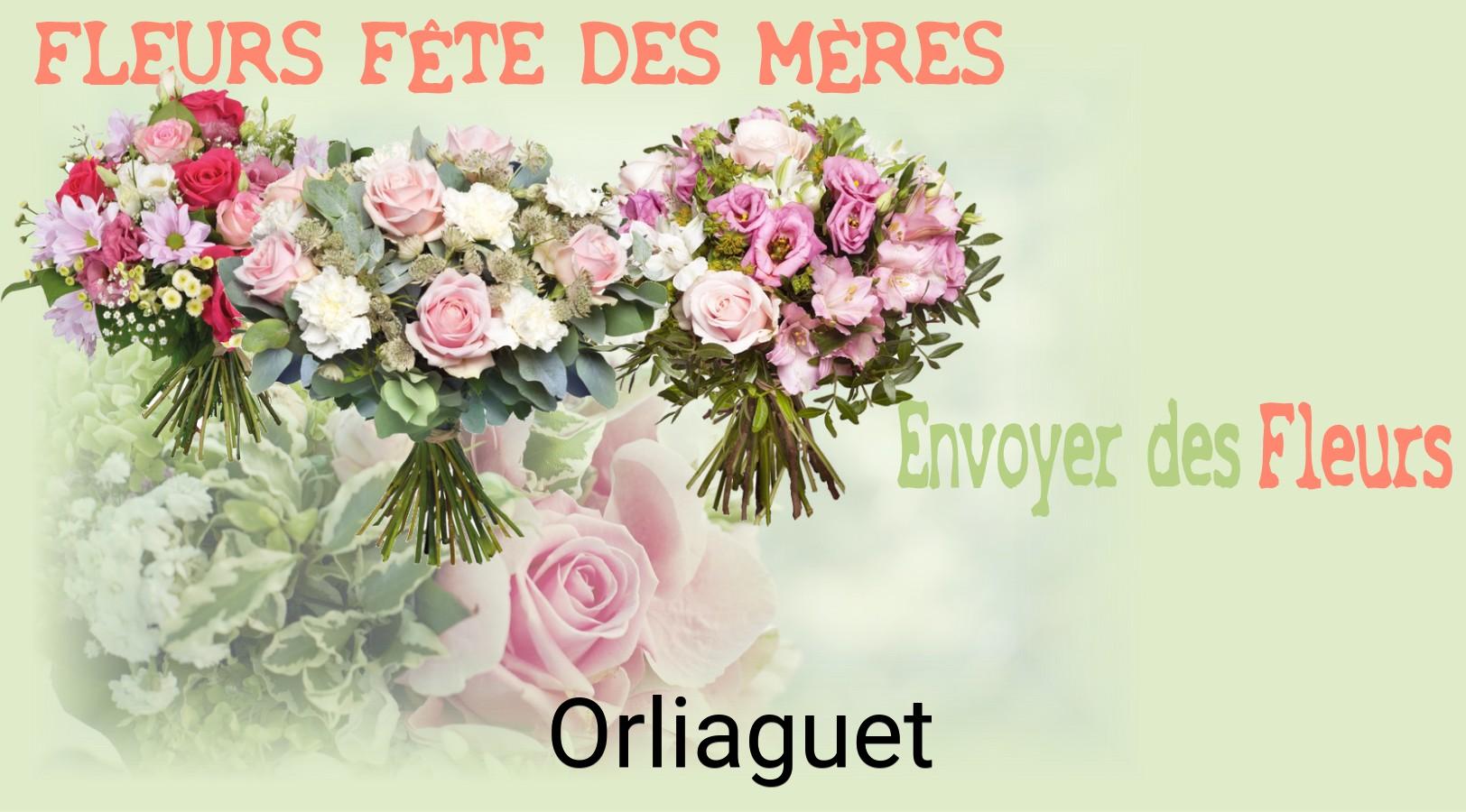 Bouquet de Fête des Mères livré à Orliaguet